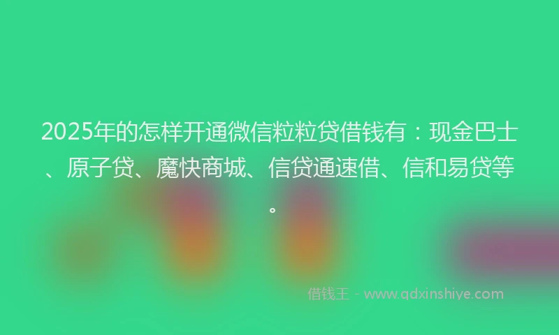 2025年的怎样开通微信粒粒贷借钱有：现金巴士、原子贷、魔快商城、信贷通速借、信和易贷等。