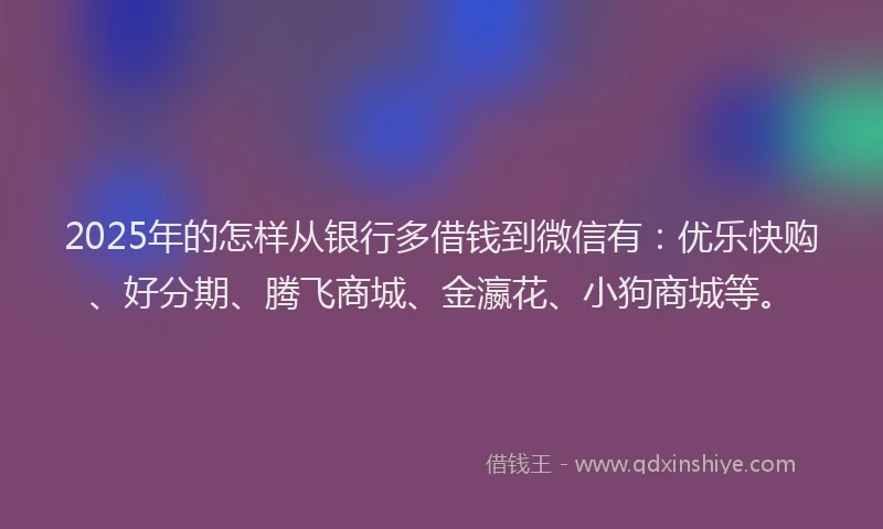 2025年的怎样从银行多借钱到微信有：优乐快购、好分期、腾飞商城、金瀛花、小狗商城等。