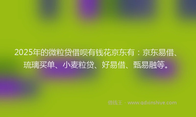 2025年的微粒贷借呗有钱花京东有：京东易借、琉璃买单、小麦粒贷、好易借、甄易融等。