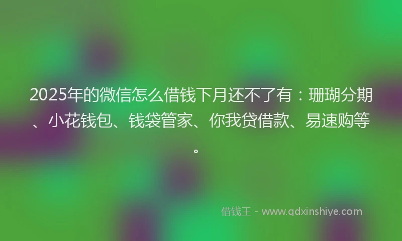 2025年的微信怎么借钱下月还不了有：珊瑚分期、小花钱包、钱袋管家、你我贷借款、易速购等。