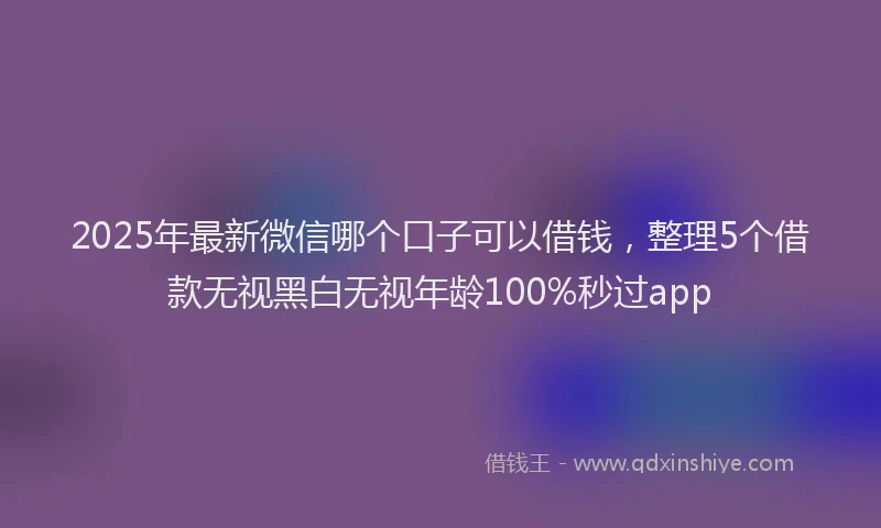 2025年最新微信哪个口子可以借钱，整理5个借款无视黑白无视年龄100%秒过app