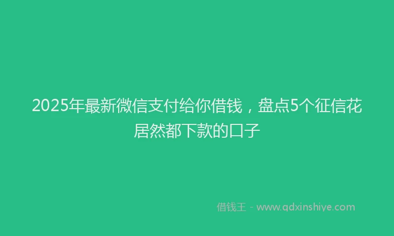 2025年最新微信支付给你借钱，盘点5个征信花居然都下款的口子