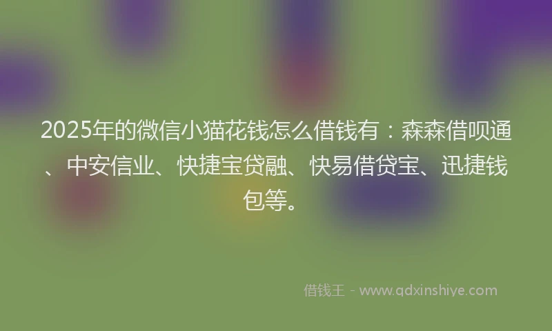 2025年的微信小猫花钱怎么借钱有：森森借呗通、中安信业、快捷宝贷融、快易借贷宝、迅捷钱包等。
