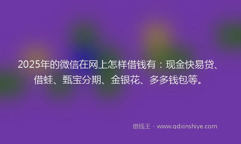 2025年的微信在网上怎样借钱有：现金快易贷、借蛙、甄宝分期、金银花、多多钱包等。