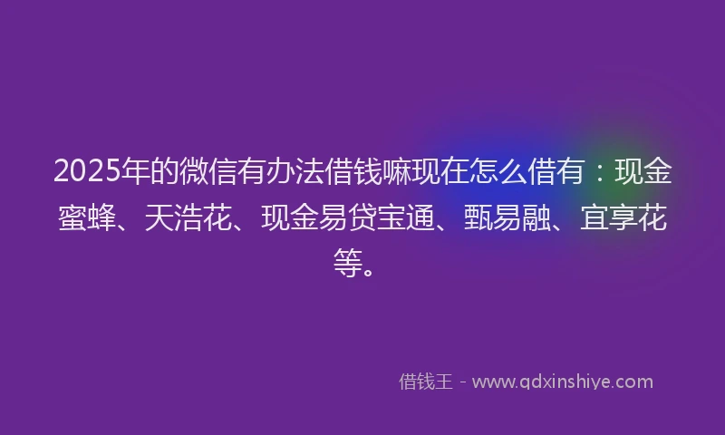 2025年的微信有办法借钱嘛现在怎么借有：现金蜜蜂、天浩花、现金易贷宝通、甄易融、宜享花等。