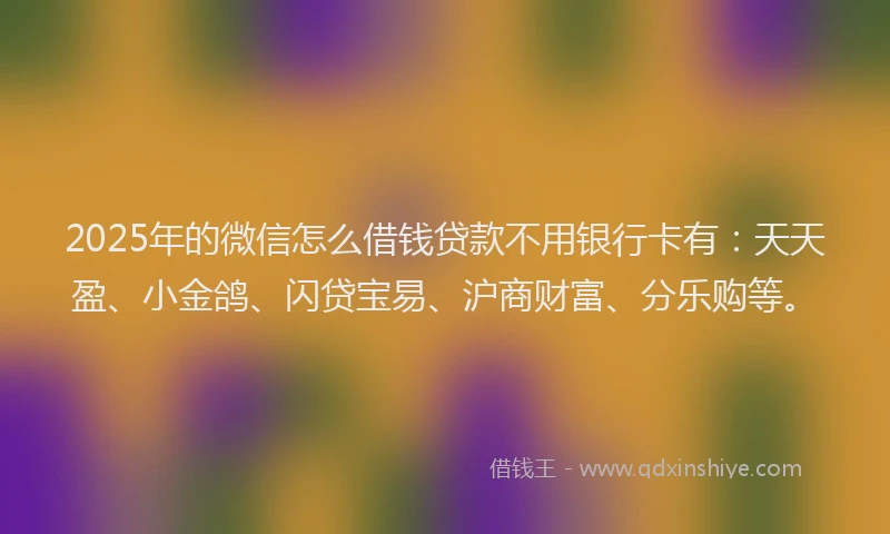 2025年的微信怎么借钱贷款不用银行卡有：天天盈、小金鸽、闪贷宝易、沪商财富、分乐购等。