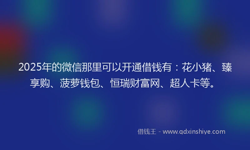 2025年的微信那里可以开通借钱有：花小猪、臻享购、菠萝钱包、恒瑞财富网、超人卡等。