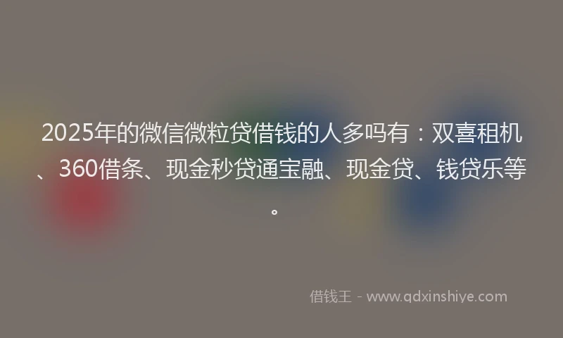 2025年的微信微粒贷借钱的人多吗有：双喜租机、360借条、现金秒贷通宝融、现金贷、钱贷乐等。