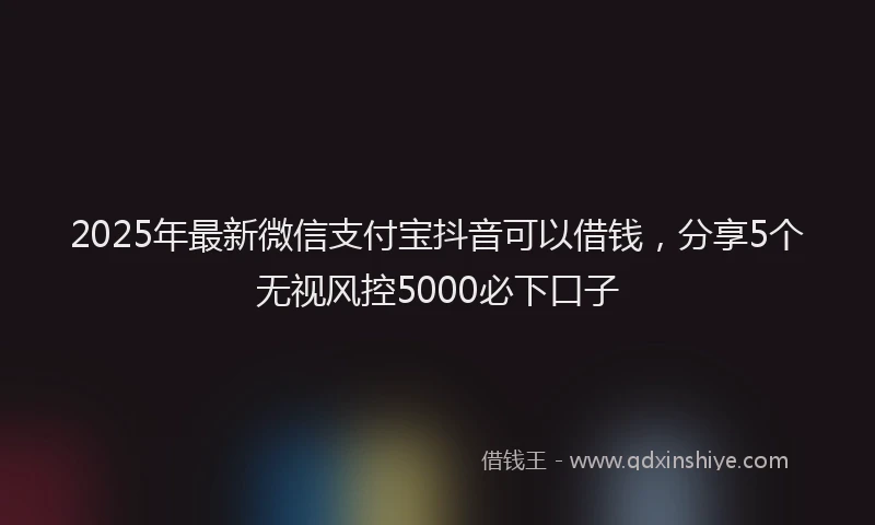 2025年最新微信支付宝抖音可以借钱，分享5个无视风控5000必下口子
