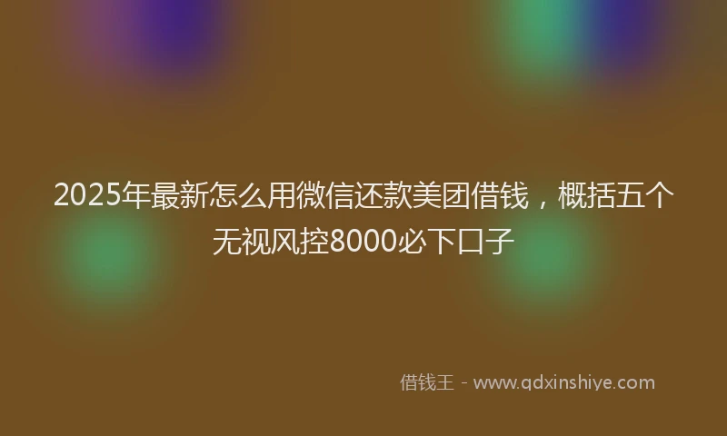 2025年最新怎么用微信还款美团借钱，概括五个无视风控8000必下口子