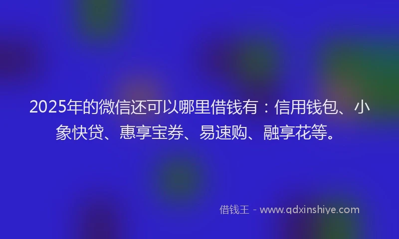 2025年的微信还可以哪里借钱有：信用钱包、小象快贷、惠享宝券、易速购、融享花等。