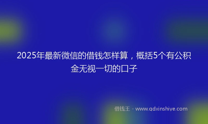 2025年最新微信的借钱怎样算，概括5个有公积金无视一切的口子
