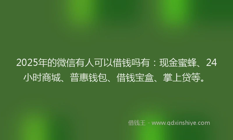 2025年的微信有人可以借钱吗有：现金蜜蜂、24小时商城、普惠钱包、借钱宝盒、掌上贷等。