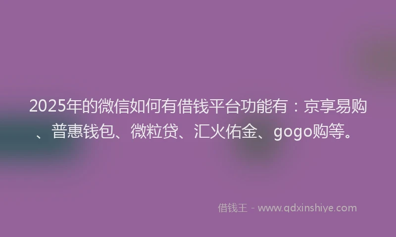 2025年的微信如何有借钱平台功能有：京享易购、普惠钱包、微粒贷、汇火佑金、gogo购等。