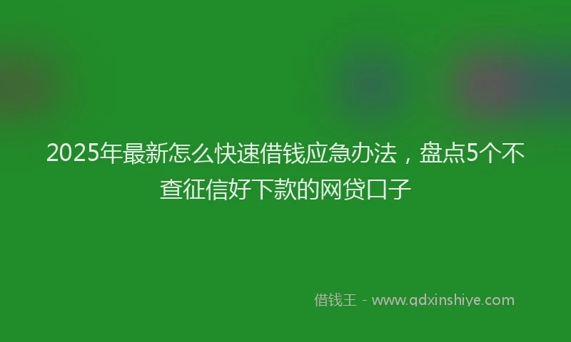 2025年最新怎么快速借钱应急办法，盘点5个不查征信好下款的网贷口子