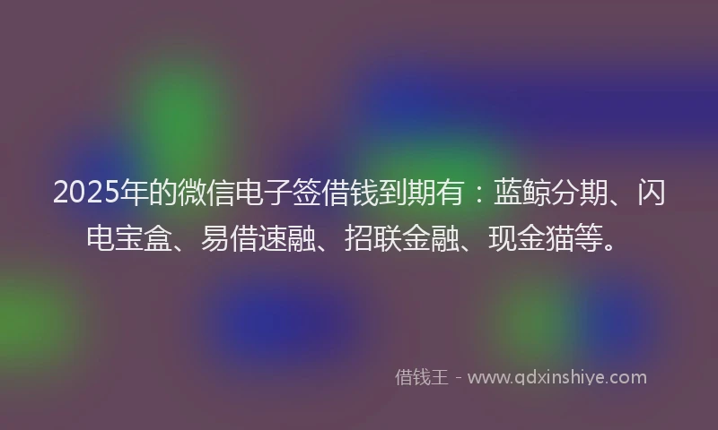 2025年的微信电子签借钱到期有：蓝鲸分期、闪电宝盒、易借速融、招联金融、现金猫等。