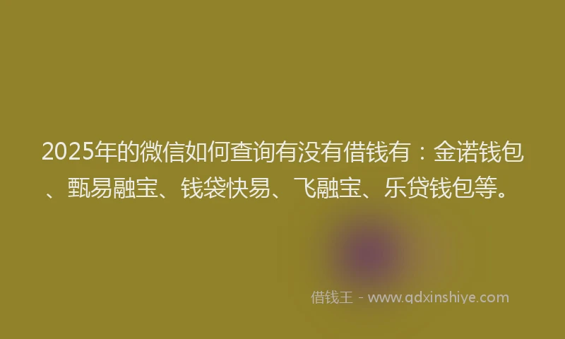2025年的微信如何查询有没有借钱有：金诺钱包、甄易融宝、钱袋快易、飞融宝、乐贷钱包等。