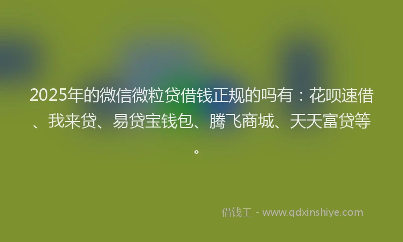 2025年的微信微粒贷借钱正规的吗有：花呗速借、我来贷、易贷宝钱包、腾飞商城、天天富贷等。