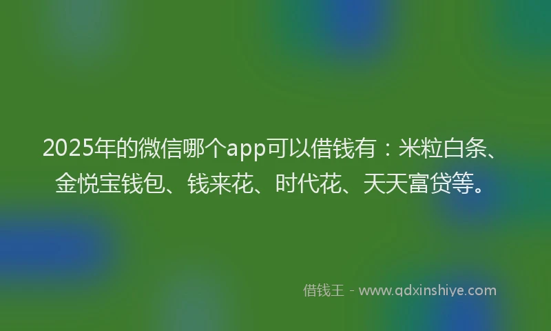 2025年的微信哪个app可以借钱有：米粒白条、金悦宝钱包、钱来花、时代花、天天富贷等。