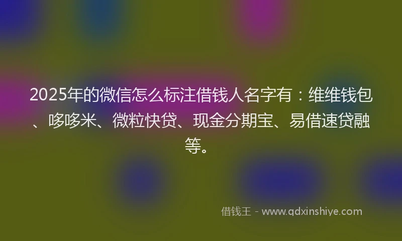 2025年的微信怎么标注借钱人名字有：维维钱包、哆哆米、微粒快贷、现金分期宝、易借速贷融等。