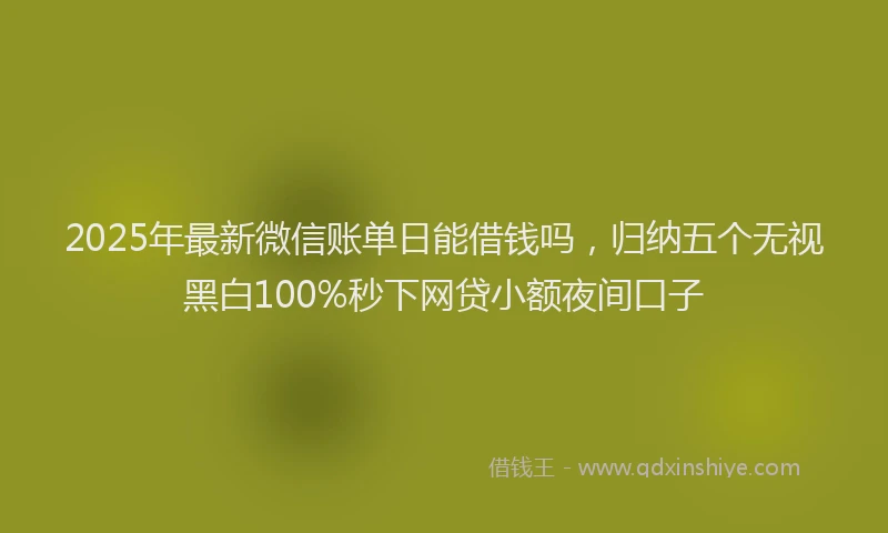2025年最新微信账单日能借钱吗，归纳五个无视黑白100%秒下网贷小额夜间口子