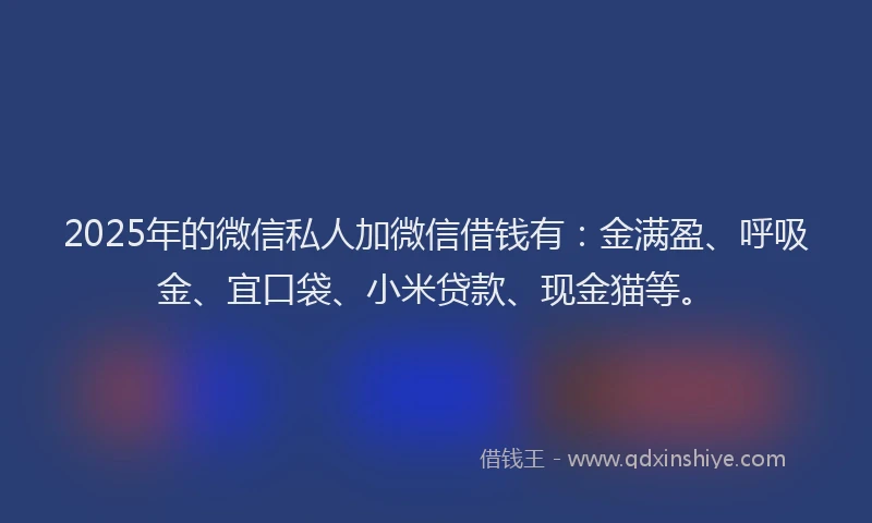 2025年的微信私人加微信借钱有：金满盈、呼吸金、宜口袋、小米贷款、现金猫等。
