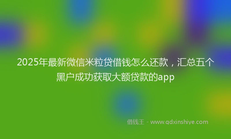 2025年最新微信米粒贷借钱怎么还款，汇总五个黑户成功获取大额贷款的app