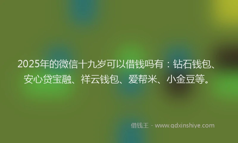 2025年的微信十九岁可以借钱吗有：钻石钱包、安心贷宝融、祥云钱包、爱帮米、小金豆等。