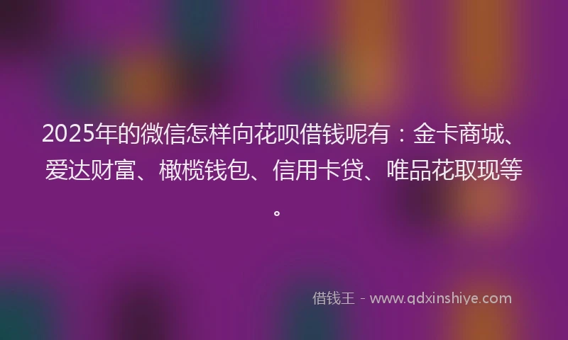 2025年的微信怎样向花呗借钱呢有：金卡商城、爱达财富、橄榄钱包、信用卡贷、唯品花取现等。