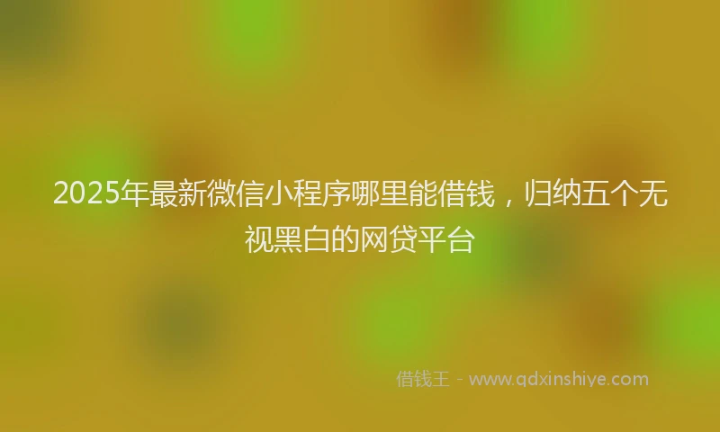 2025年最新微信小程序哪里能借钱，归纳五个无视黑白的网贷平台