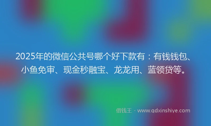 2025年的微信公共号哪个好下款有：有钱钱包、小鱼免审、现金秒融宝、龙龙用、蓝领贷等。