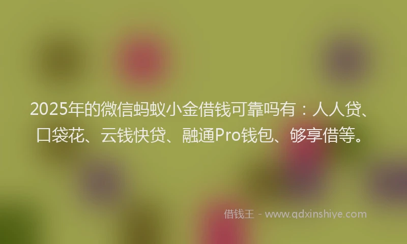 2025年的微信蚂蚁小金借钱可靠吗有：人人贷、口袋花、云钱快贷、融通Pro钱包、够享借等。