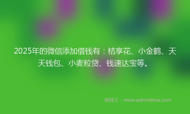 2025年的微信添加借钱有：桔享花、小金鹤、天天钱包、小麦粒贷、钱速达宝等。