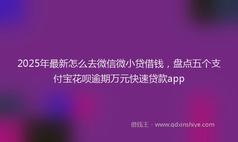 2025年最新怎么去微信微小贷借钱，盘点五个支付宝花呗逾期万元快速贷款app