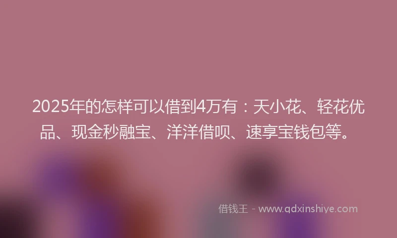 2025年的怎样可以借到4万有：天小花、轻花优品、现金秒融宝、洋洋借呗、速享宝钱包等。