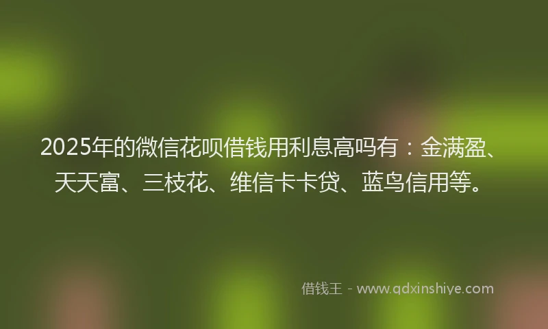 2025年的微信花呗借钱用利息高吗有：金满盈、天天富、三枝花、维信卡卡贷、蓝鸟信用等。