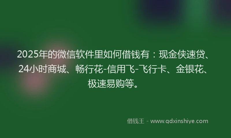 2025年的微信软件里如何借钱有：现金侠速贷、24小时商城、畅行花-信用飞-飞行卡、金银花、极速易购等。