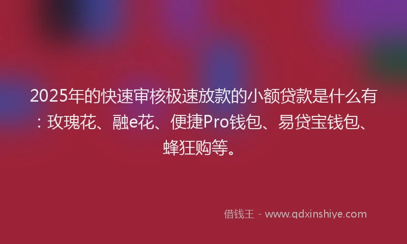 2025年的快速审核极速放款的小额贷款是什么有：玫瑰花、融e花、便捷Pro钱包、易贷宝钱包、蜂狂购等。