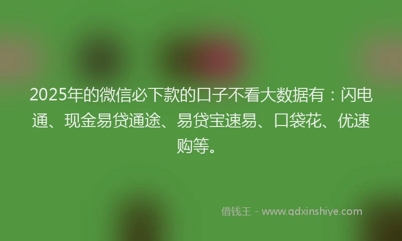 2025年的微信必下款的口子不看大数据有：闪电通、现金易贷通途、易贷宝速易、口袋花、优速购等。