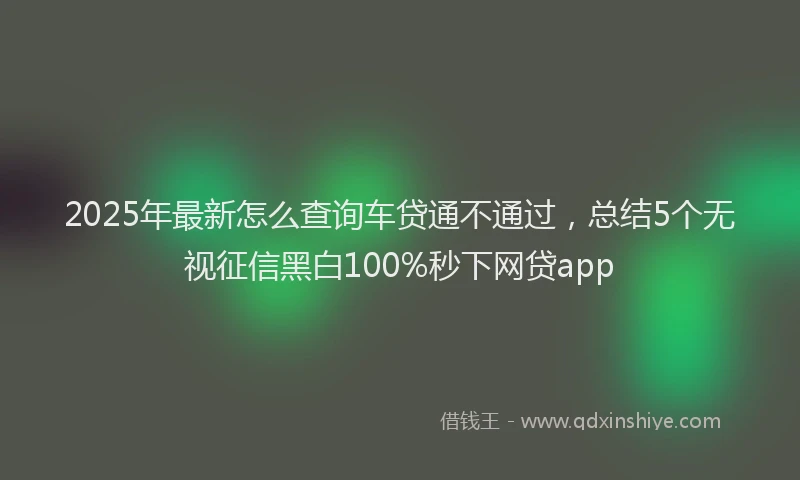 2025年最新怎么查询车贷通不通过，总结5个无视征信黑白100%秒下网贷app