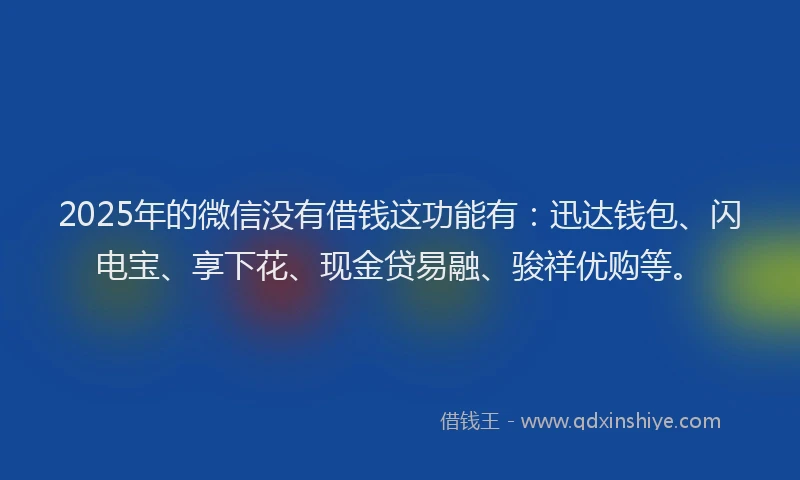 2025年的微信没有借钱这功能有：迅达钱包、闪电宝、享下花、现金贷易融、骏祥优购等。