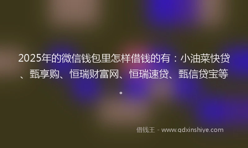 2025年的微信钱包里怎样借钱的有：小油菜快贷、甄享购、恒瑞财富网、恒瑞速贷、甄信贷宝等。