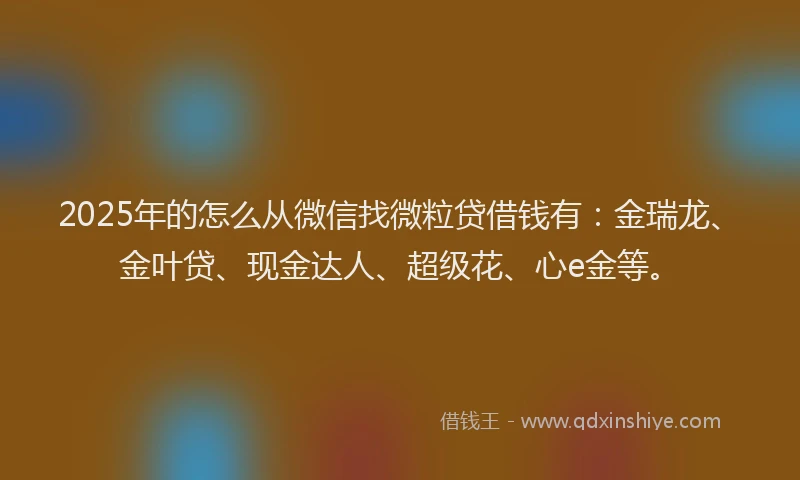 2025年的怎么从微信找微粒贷借钱有：金瑞龙、金叶贷、现金达人、超级花、心e金等。