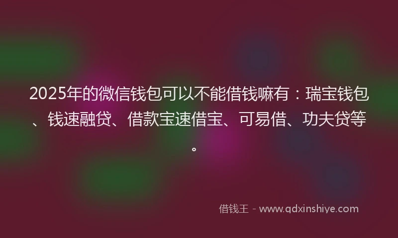 2025年的微信钱包可以不能借钱嘛有：瑞宝钱包、钱速融贷、借款宝速借宝、可易借、功夫贷等。