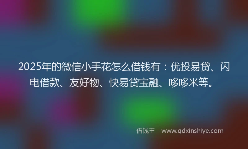 2025年的微信小手花怎么借钱有：优投易贷、闪电借款、友好物、快易贷宝融、哆哆米等。