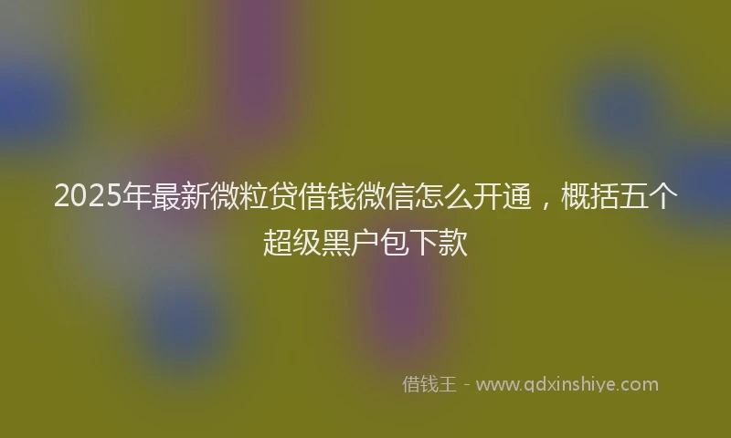2025年最新微粒贷借钱微信怎么开通，概括五个超级黑户包下款