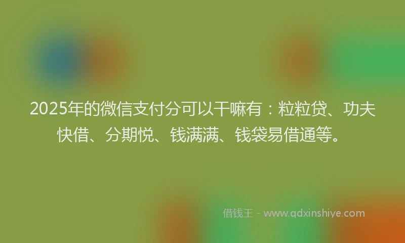 2025年的微信支付分可以干嘛有：粒粒贷、功夫快借、分期悦、钱满满、钱袋易借通等。