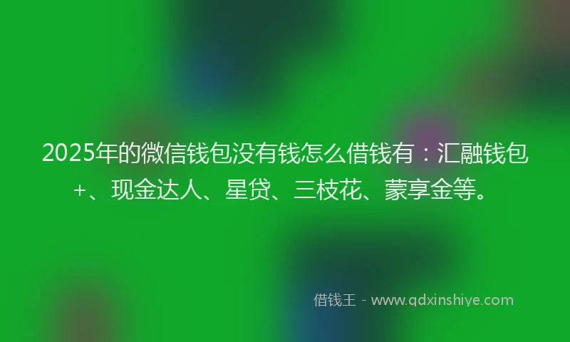 2025年的微信钱包没有钱怎么借钱有：汇融钱包+、现金达人、星贷、三枝花、蒙享金等。