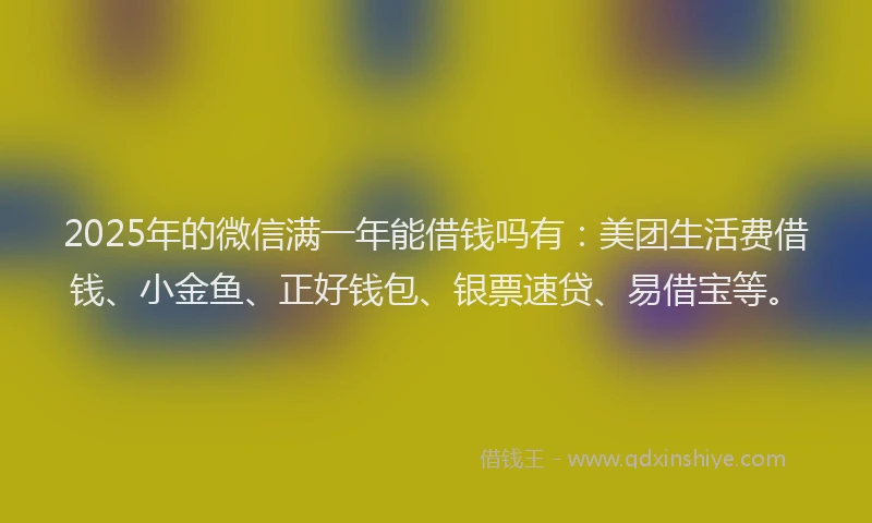2025年的微信满一年能借钱吗有：美团生活费借钱、小金鱼、正好钱包、银票速贷、易借宝等。