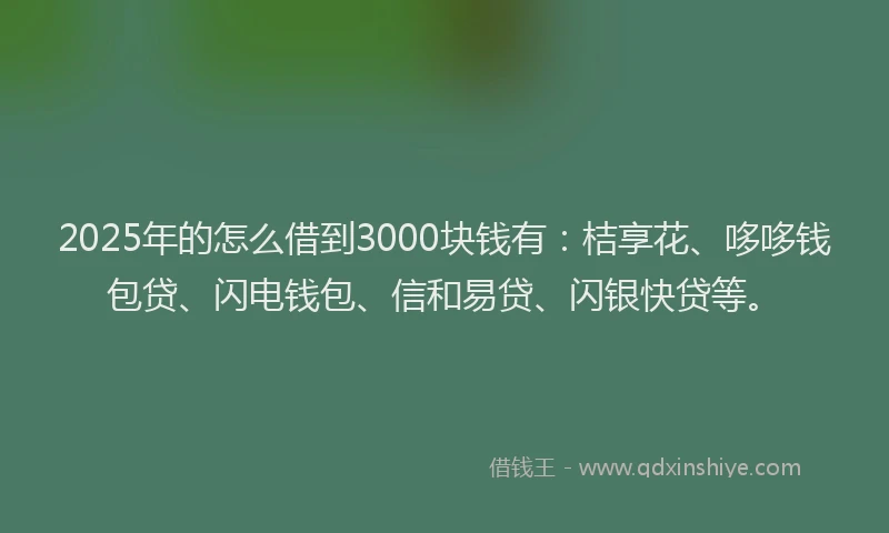 2025年的怎么借到3000块钱有：桔享花、哆哆钱包贷、闪电钱包、信和易贷、闪银快贷等。